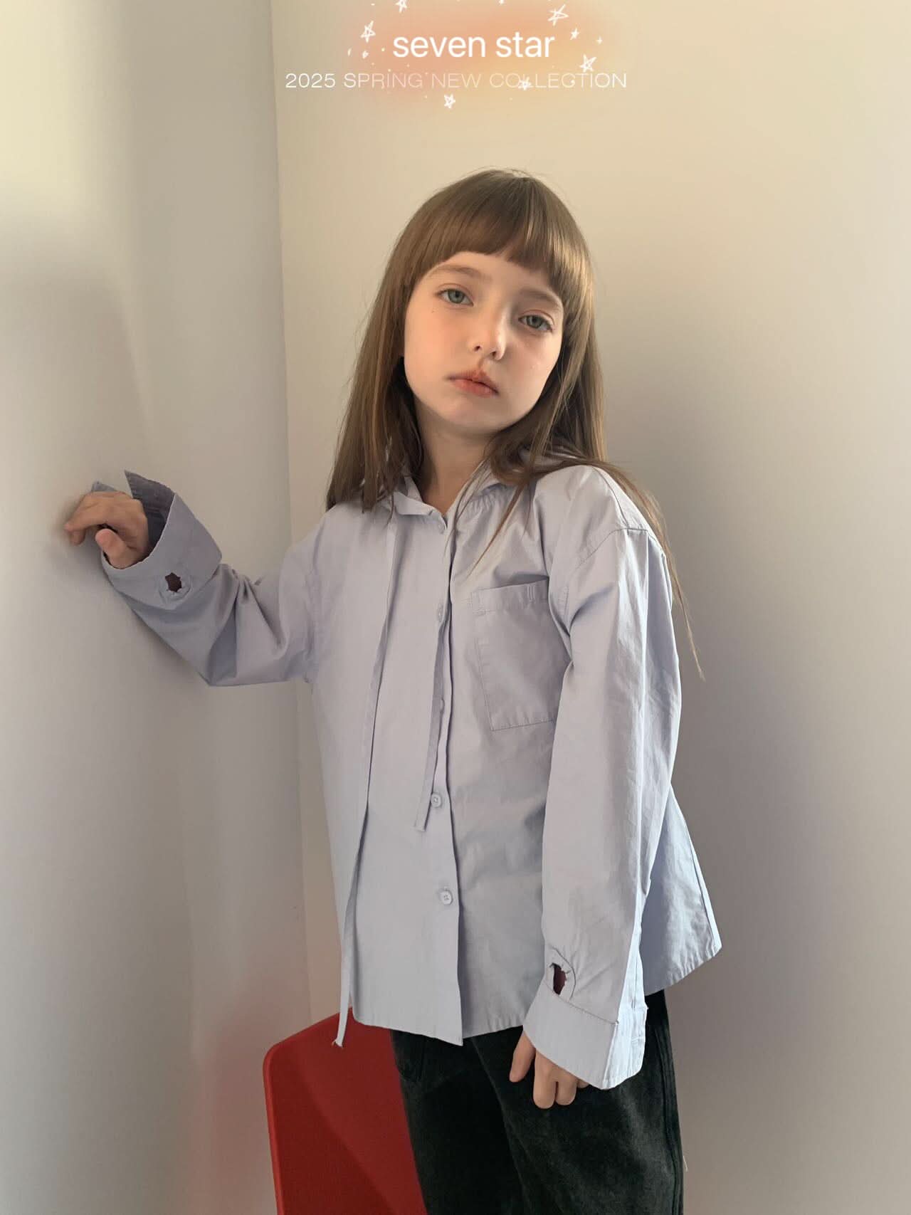 Hooded Long Sleeve Blouse