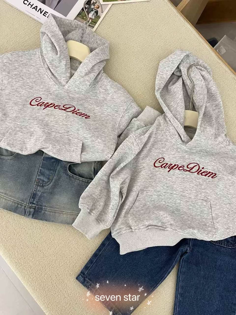 Latin Aphorism Hoodie