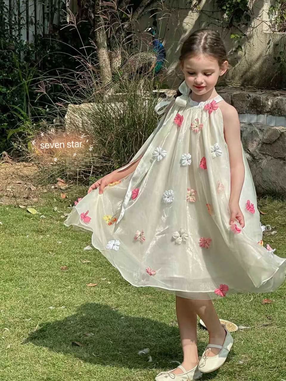 3D Floral Embroidery Dress
