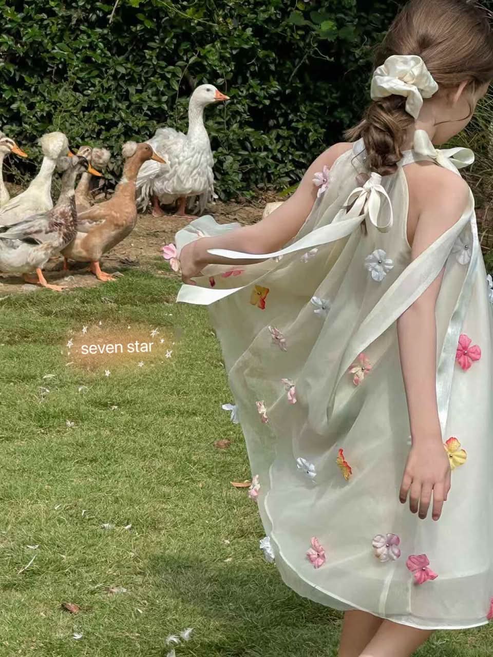 3D Floral Embroidery Dress
