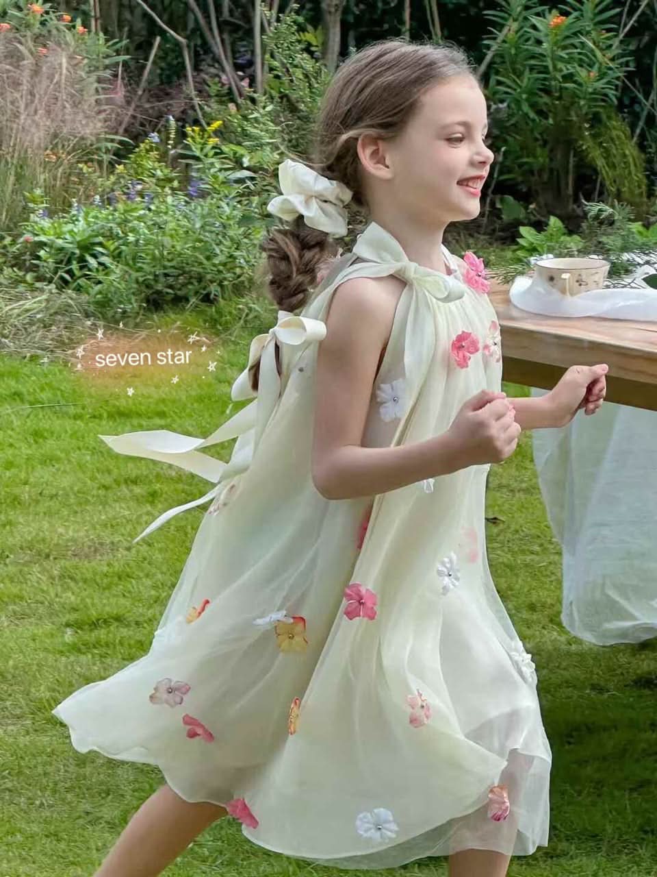 3D Floral Embroidery Dress