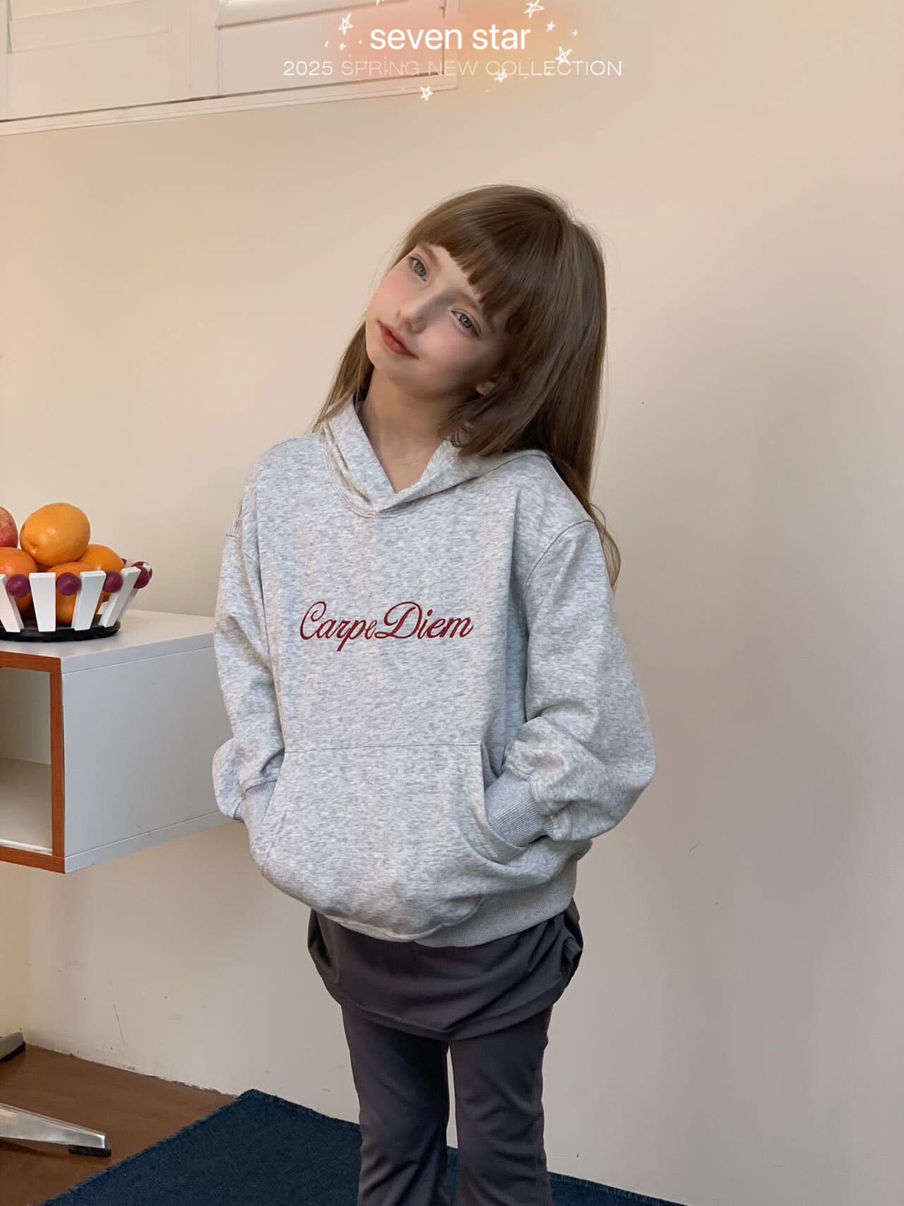 Latin Aphorism Hoodie