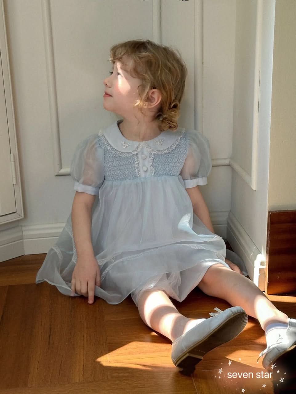 Puffy Sleeve Tulle Dress