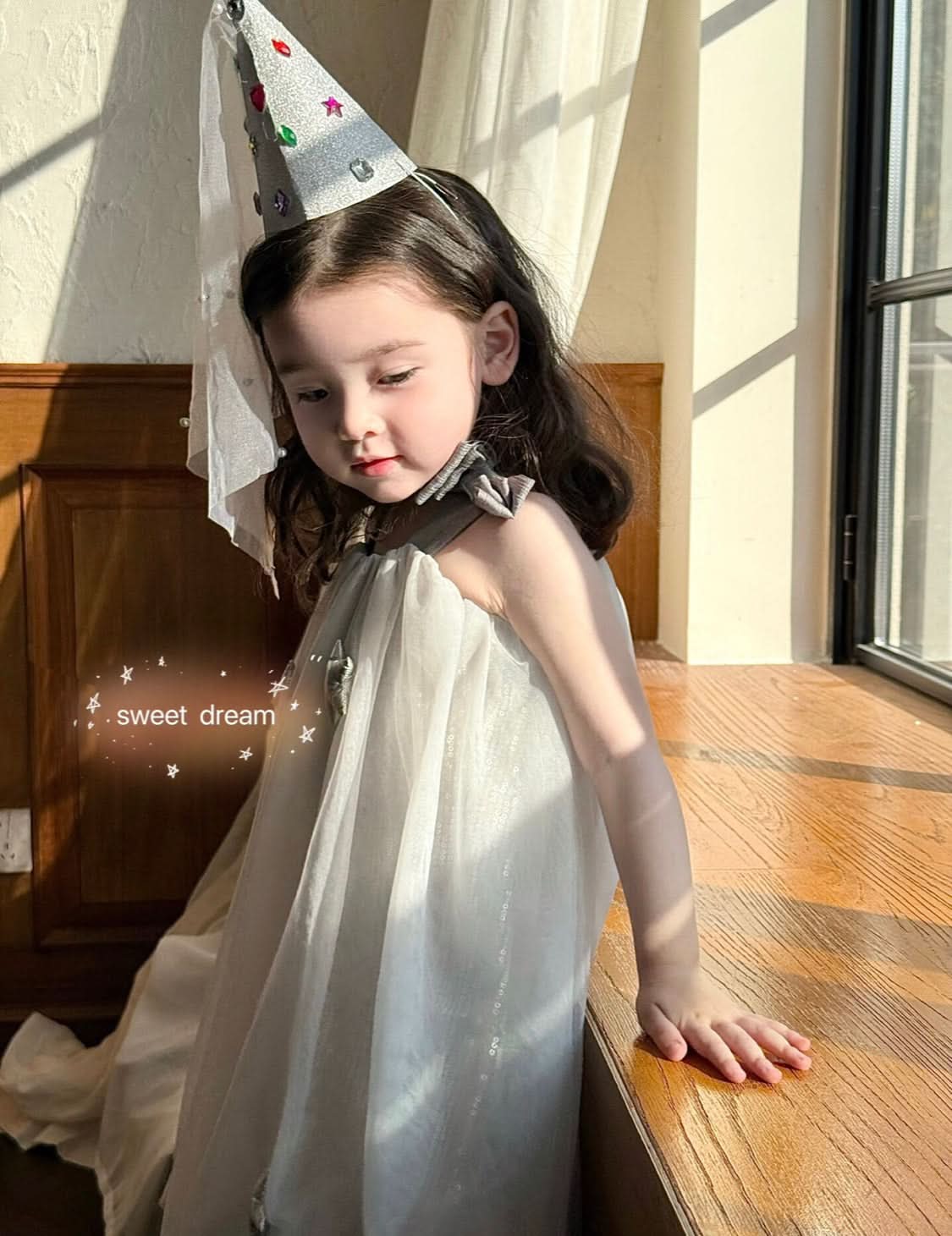 Silver Star Tulle Dress